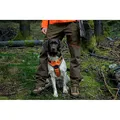 Hunting pants Seeland Venture Pine green/Hi-Vis orange