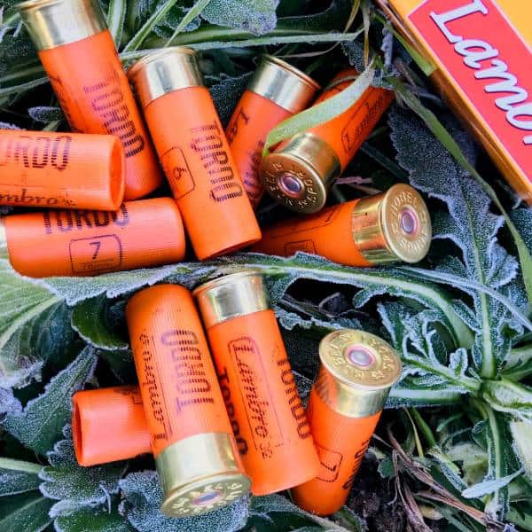Lambro Shotgun Cartridges for Hunting & Shooting Competitions